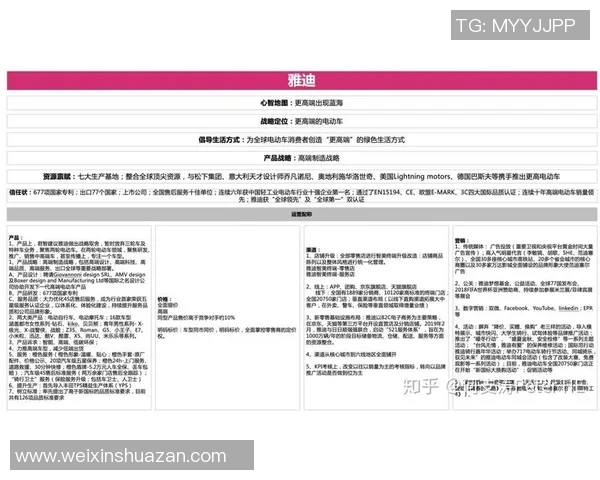 成都排球队的战术创新与运营体系深度解析与实践探讨